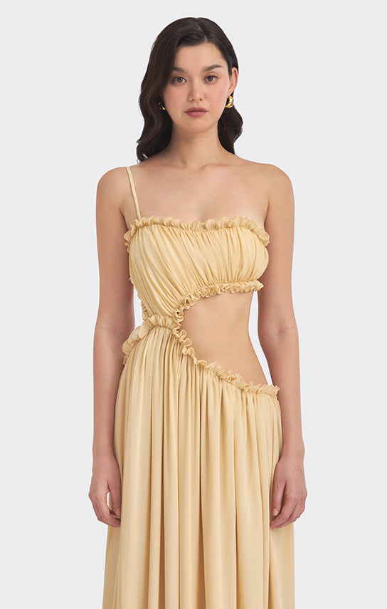 selene maxi dress Selene Halter Maxi Dress